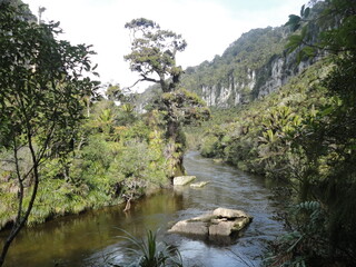 punakaiki in newzealand