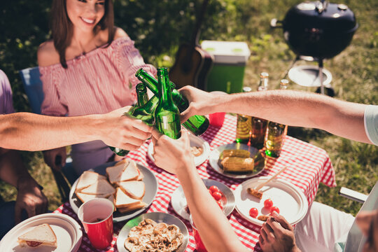 Hello summer, Top above high angle view photo of four fellows girls guys sit table celebrate vacation feast clink cheers bottle beer outside in green garden