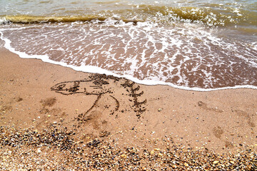 image of a horse on the sea sand