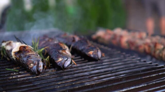 Closeup of scomber fishes with herbs cooking on barbeque
