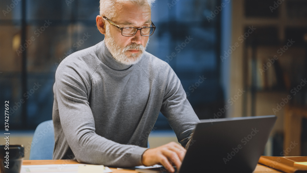 Poster portrait of the handsome and successful middle aged bearded businessman working at his desk using la