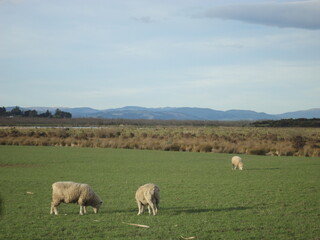 road in the countryside