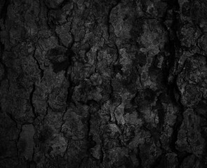 Black tree bark background Natural beautiful old tree bark texture According to the age of the tree...