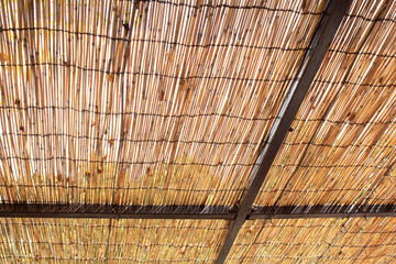 夏っぽいすのこの天井