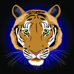 Tiger isolated on black blue background vector