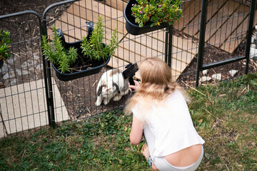 hasen vlog © Superingo