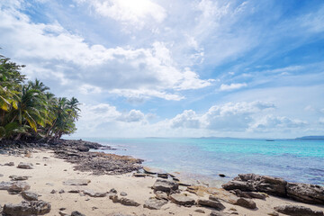 Fototapeta na wymiar Sunny day on the tropical beach with cocnut palm trees.