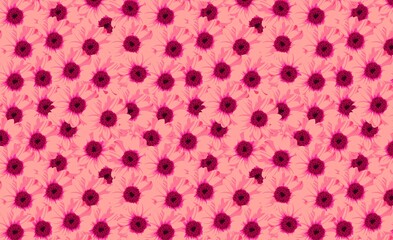 pink flowers pattern background.