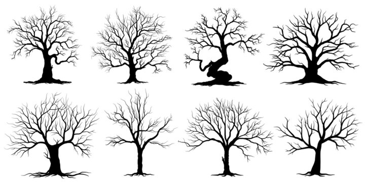 simple bare tree silhouette vector