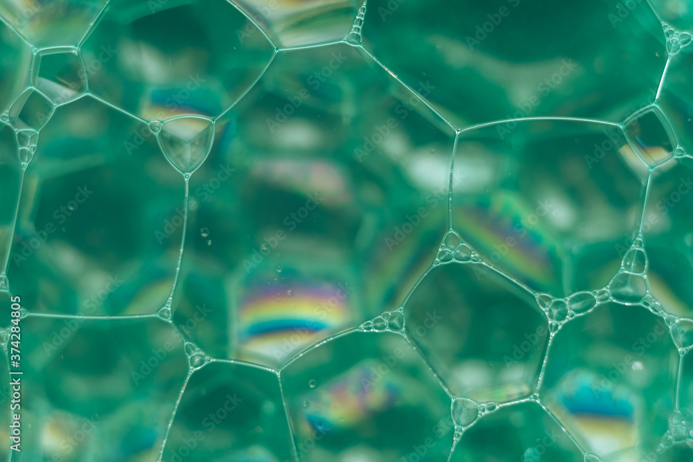 Fototapete close up beautiful green abstract soap bubbles. background pattern for design. macro photography vie