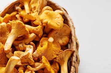 Vegetarian cuisine.Busket of chanterelle mushrooms.