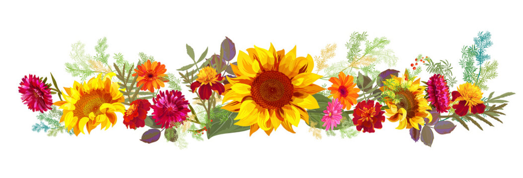 Horizontal autumn’s border: orange, yellow sunflowers, red asters, marigold (tagetes), gerbera daisy flowers, green twigs on white background. Illustration in watercolor style, panoramic view, vector