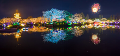 Fototapeta na wymiar Cherry blossoms in full bloom in Wuhan East Lake Sakura Garden in warm spring