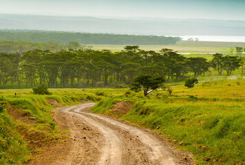 Fototapeta na wymiar Beautiful landscape. Kenya. Africa