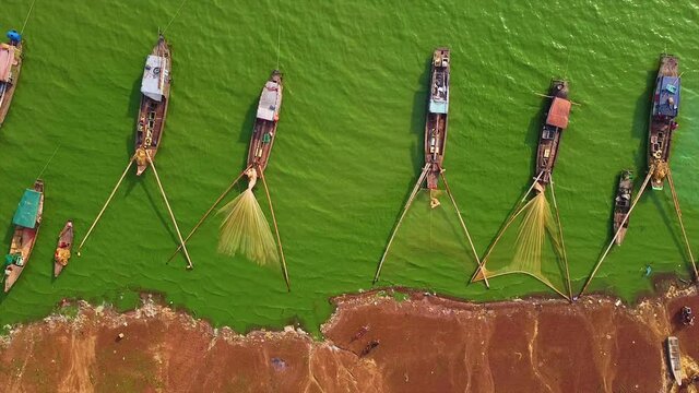 Aerial view of Ben Nom fishing village, a brilliant, fresh, green image of the green algae season on Tri An lake, with many traditional fishing boats anchored. Location in Dong Nai province, Vietnam