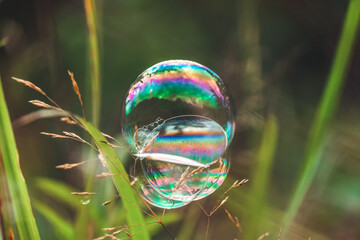 Beautiful natural background, soap bubble among the grass in the meadow.