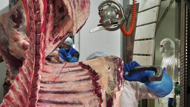 Butcher hanging on hooks beef meat