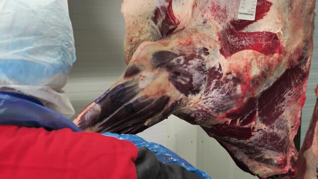 Butcher cuts beef carcasses with knife