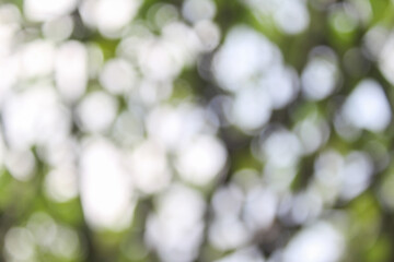 Obraz premium Natural bokeh, can be made as a background
