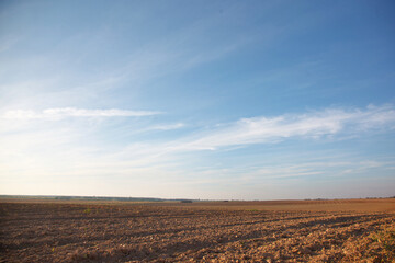 Rural landscape during harvest in the field