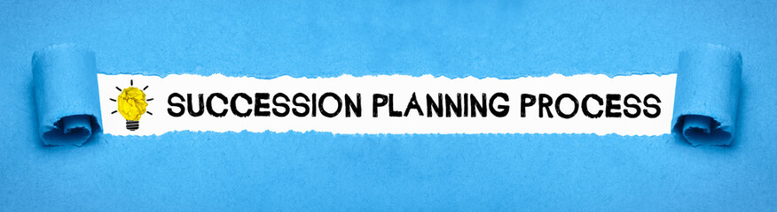 Succession Planning Process 