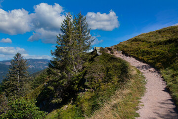 Obraz premium Landschaft auf dem Petit Hohneck iin den Vogesen