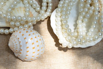 pearl necklace on shell.