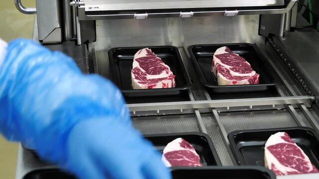 Packaging of meat pieces of fresh beef in a container