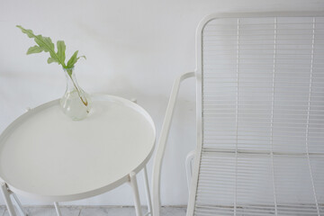 Blue Star Fern in a vase placed on the table.