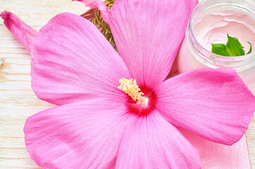 pink hibiscus flower and a jar of cream on a white wooden background. beauty products