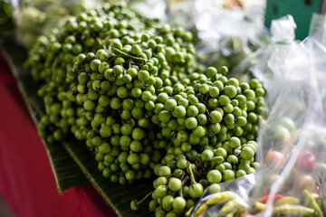 Heap of fresh Turkey berry or Thai eggplant vegetable ingredient for cooking food.