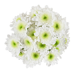 White and green chrysanthemum flowers in a round bouquet