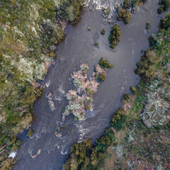 Murrumbidgee River flowing through Stony Creek Nature Reserve vertical view