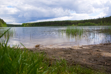 Jezioro pośród drzew