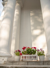 White pots with flowers as the decor of an old building.