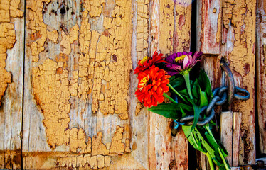 Delicate bouquet of flowers on an old wooden structure close-up. Flowers on an old wooden shabby background. Flowers on an old scratched background. Wooden frame with flowers