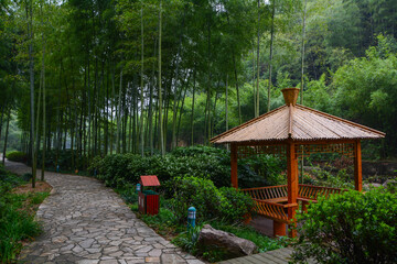 Summer scenery in Yixing Zhuhai Scenic Spot, Jiangsu Province, China