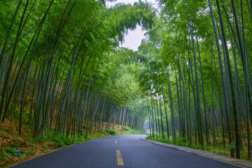 Obraz premium Summer scenery in Yixing Zhuhai Scenic Spot, Jiangsu Province, China