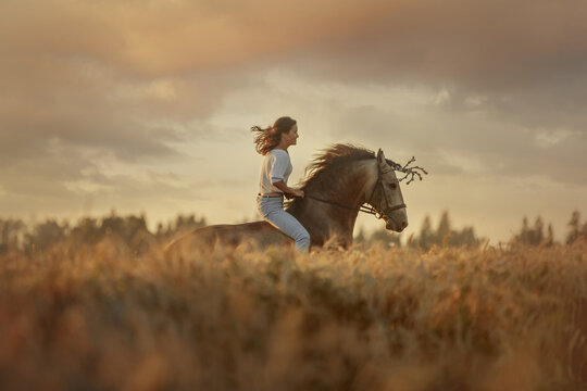 Beautiful  young woman on spanish buckskin horse in rue field at sunset