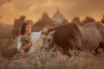 Beautiful  young woman on spanish buckskin horse in rue field at sunset