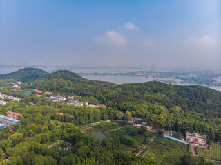 Fototapeta na wymiar Summer scenery of Wuhan Botanical Garden, Hubei, China