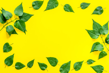 Top view frame of green leaves. Nature concept layout