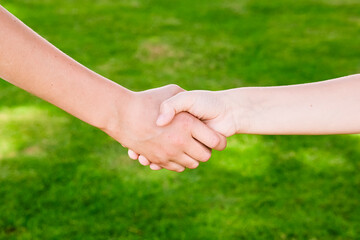 Two brothers or friends holding hands outside on green grass background. Love and family concept, unity.