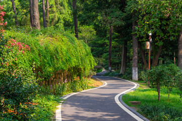 Summer scenery of Wuhan Botanical Garden, Hubei, China