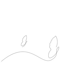 Butterfly animal line drawing, vector illustration