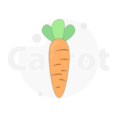 carrot, yummy isolated vector flat illustration