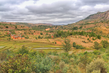 Fototapeta na wymiar Rice terraces against the background of mountains and cloudy sky in Madagascar