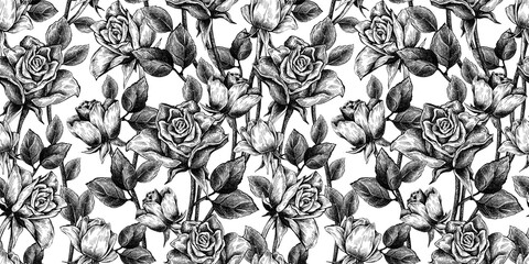 Roses seamless pattern. Graphic illustration. Hand drawing with ink and pen.