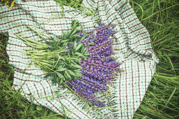 Bouquet of lupine on the bedspread