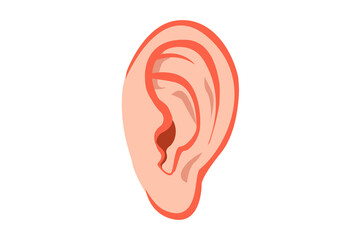 Desenho vetorial descritivo de uma orelha humana